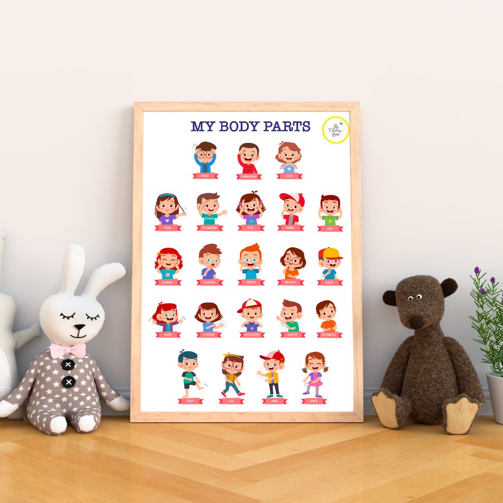 Body Parts Poster